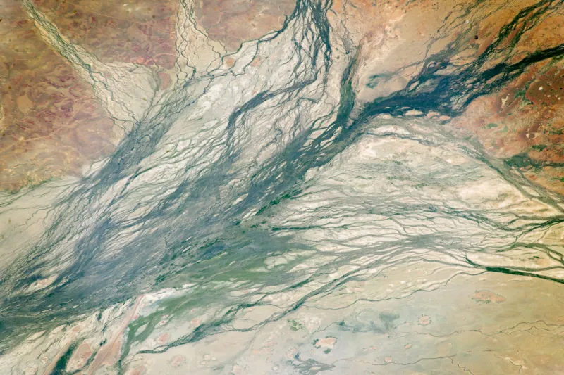 A satellite view of a floodplain crossed by hundreds of braided, interlacing river channels in dark green, threading across pale cream and grey ground, with rust-red and ochre country at the upper corners. There is no relief anywhere in the frame