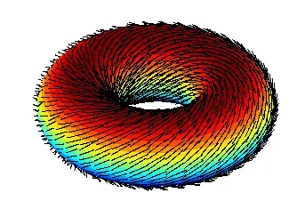 A small colour rendering of a torus shaded from red at the top through green to blue beneath, its whole surface covered in short black hairs lying flat and running smoothly round the tube, with no parting or crown anywhere